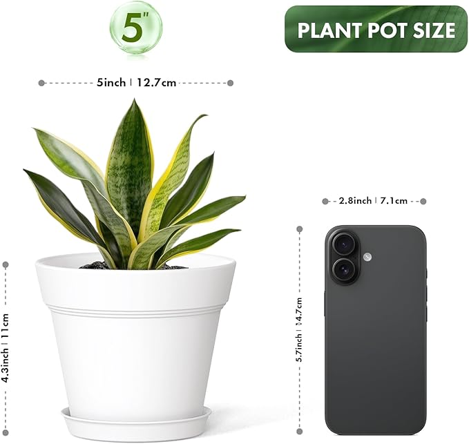 5 Inch Plastic Plant Pots with Drainage Holes and Trays – 6 Pack Small Nursery - Image 3