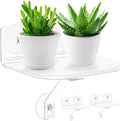 2-Pack Acrylic Window Plant Shelves by Skewo