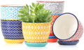 Selamica Ceramic Succulent Pots, 3.5 Inch Small Plant Pots by Selamica