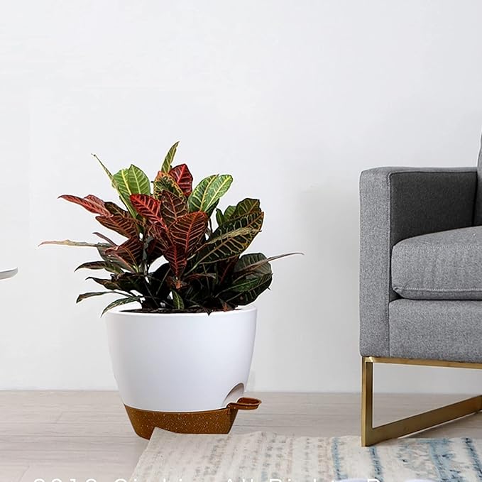 Large Self Watering Pots, 12/10/9 Plastic Planters - Image 7