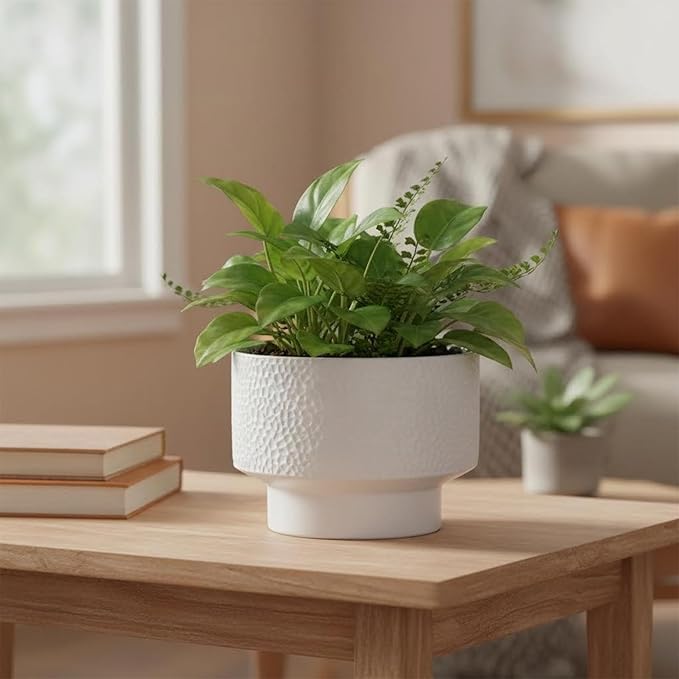 11 Inch Ceramic Plant Pots, Planter Pot - Image 3