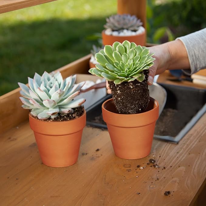 3 inch Plant Nursery pots Number of Items in a 20 Pack, - Image 6