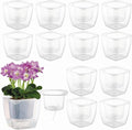 12-Pack Clear Self Watering Planters by Planterhoma
