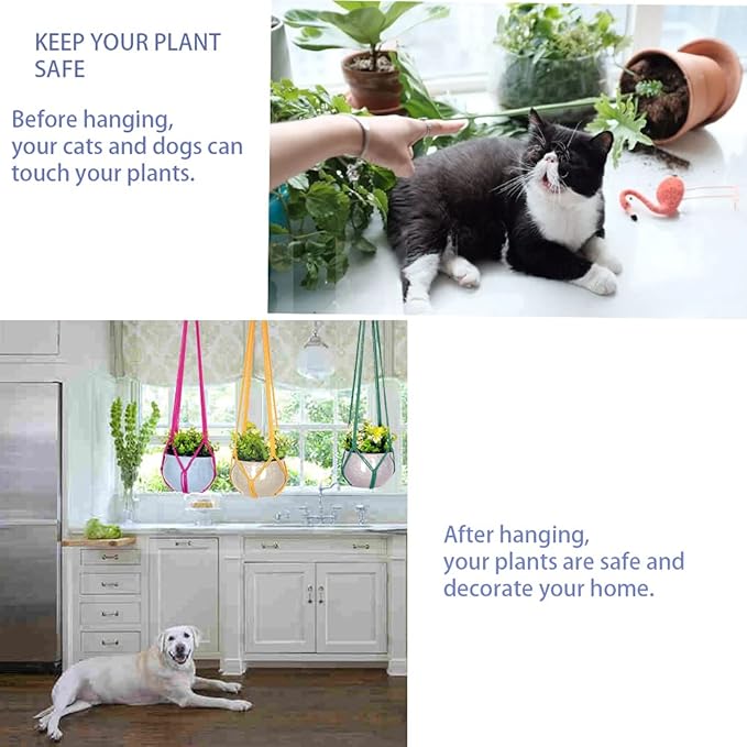 Hanging Planters for Plants - Image 6
