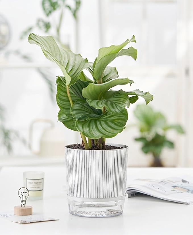 Self Watering Pots for Indoor Plants, Flower Pots, Self Watering Plant Pot-2pcs - Image 6