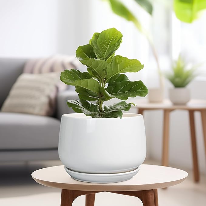G EPGardening Ceramic Planter 9 Inch - Image 4