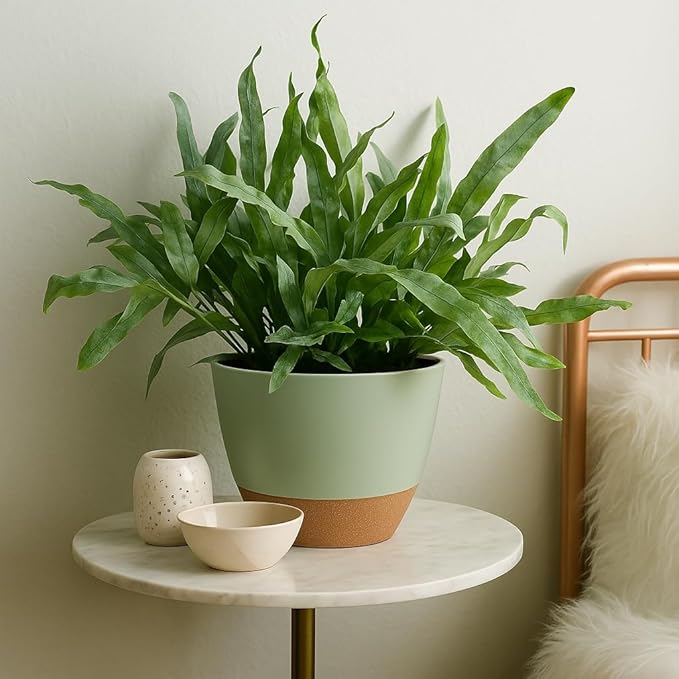 Plant Pots 12/10/9 inch Set of 3, Self Watering Flower Pots Indoor Outdoor - Image 5