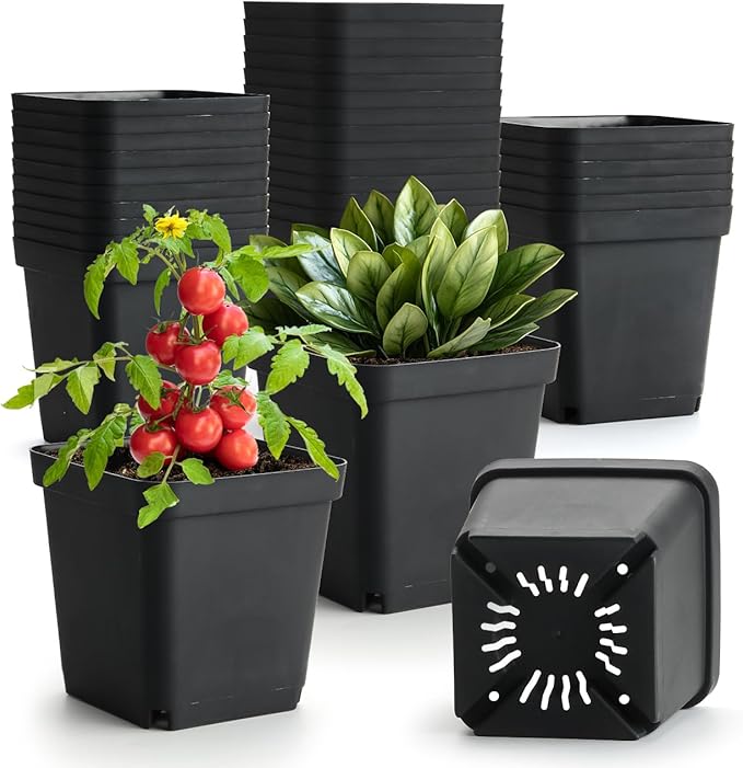 BTPLASTIK Square Nursery Pots 5.5 Inch, Garden Flower Planters by BTPLASTIK