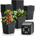 BTPLASTIK Square Nursery Pots 5.5 Inch, Garden Flower Planters by BTPLASTIK