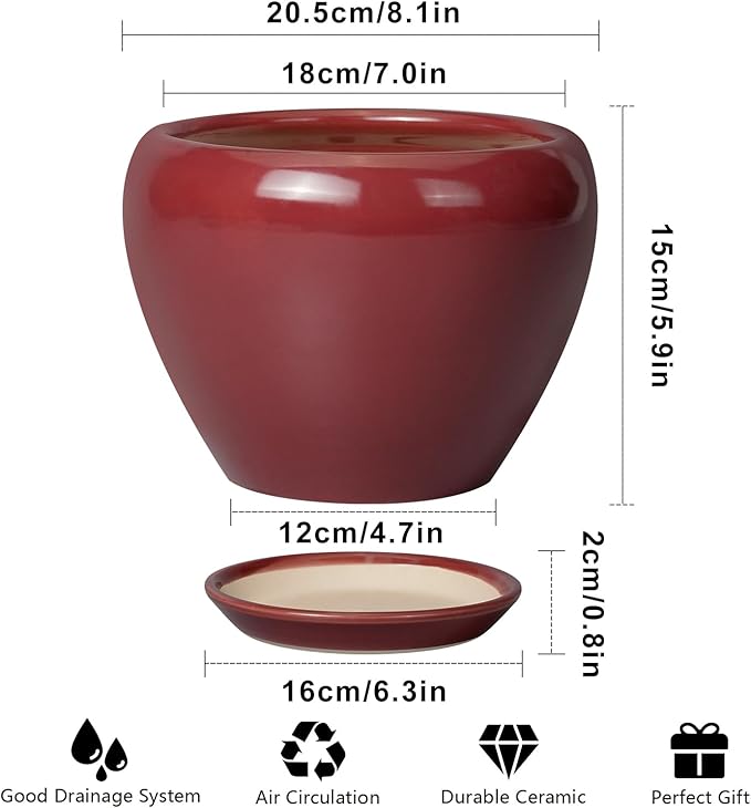 Ceramic Planter - Image 3