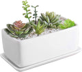 MyGift 10 Inch Modern Unglazed White Ceramic Indoor Plant Pot by MyGiftHome