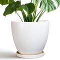 8 Inch Plant Pot by EPFamily