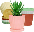 6 inch Flower Pots for Plants by KAHEAUM