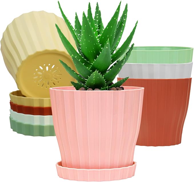 6 inch Flower Pots for Plants by KAHEAUM