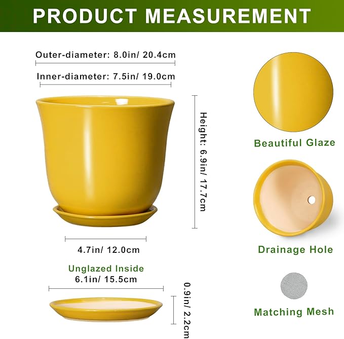 Ceramic Pots for Plants - Image 2