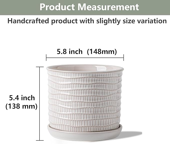 5.8 Inch Plant Pot: Ceramic Planter - Image 2