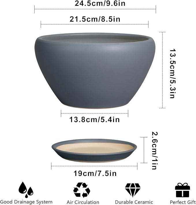Ceramic Pots for Plants - Image 3