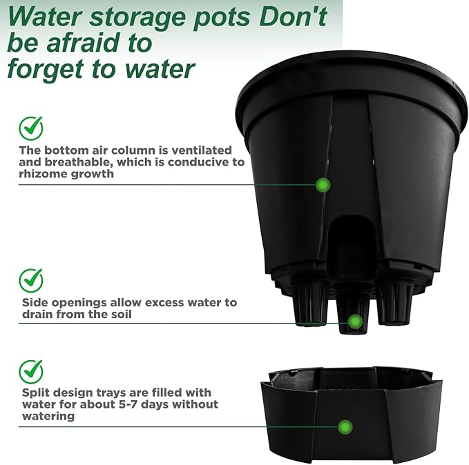 Cdd's Path 5-Pack 6 Inch Naked Root Planter Self Watering Pots Set - Image 4