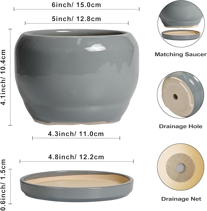 SQOWL 6 Inch Plant Pots - Image 3
