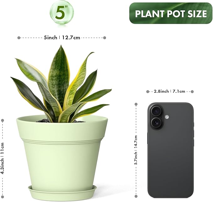 5 Inch Plastic Plant Pots with Drainage Holes and Trays – 6 Pack Small Nursery - Image 3