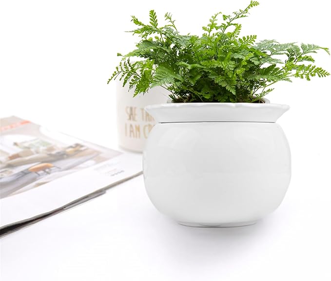 BUYMAX African Violet Pots, 6 inch Ceramic Easy Self Watering Plant Pot - Image 6