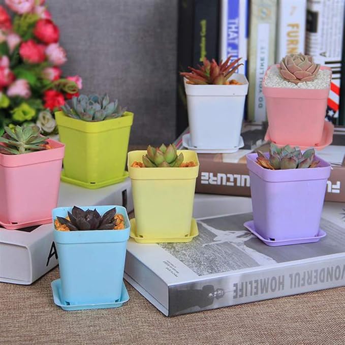 Haawooky 24 Pack Colorful Flower Pots Square Plastic Plant Pots Succulent - Image 6