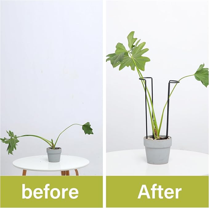 10-Pack Monstera Plant Support - Image 3