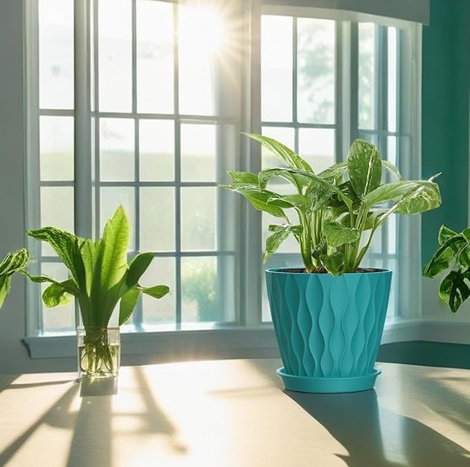 4 Inch Plant Pots, 6 Pack Indoor Flower Pots, Planters - Image 6