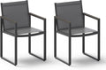 Outdoor Dining Chairs Set of 2, Aluminum Patio Dining Chiars by Oasbira