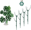 4 Pack Stackable Monstera Plant Support Stakes, 29inch Climbing Plant Sticks by YOYOKIT