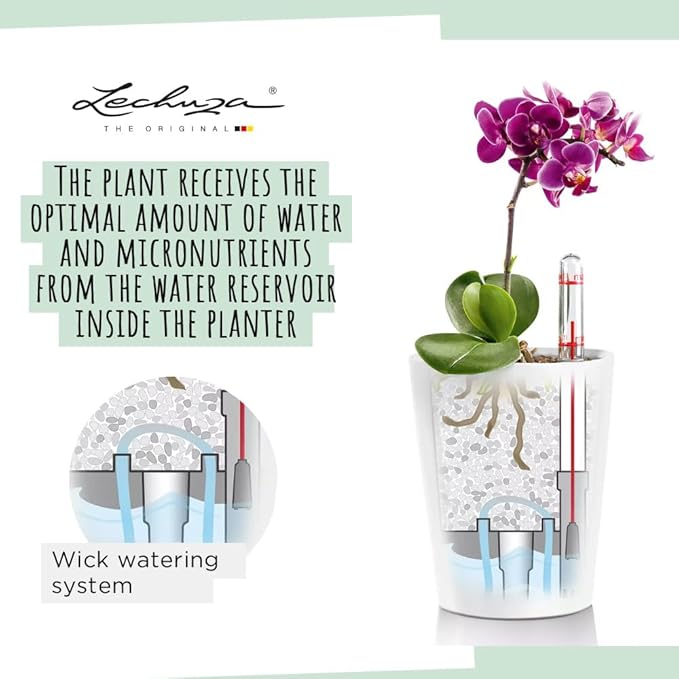 Lechuza 14900 Deltini Self-Watering Planter - Image 2