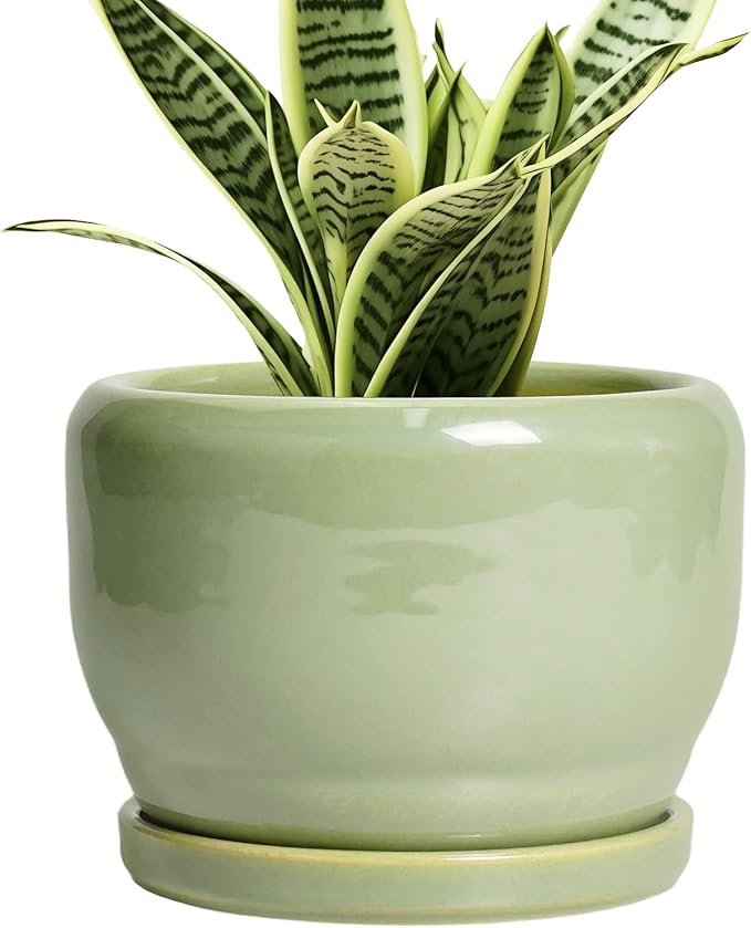 SQOWL Ceramic Pot for Plants by SQOWL