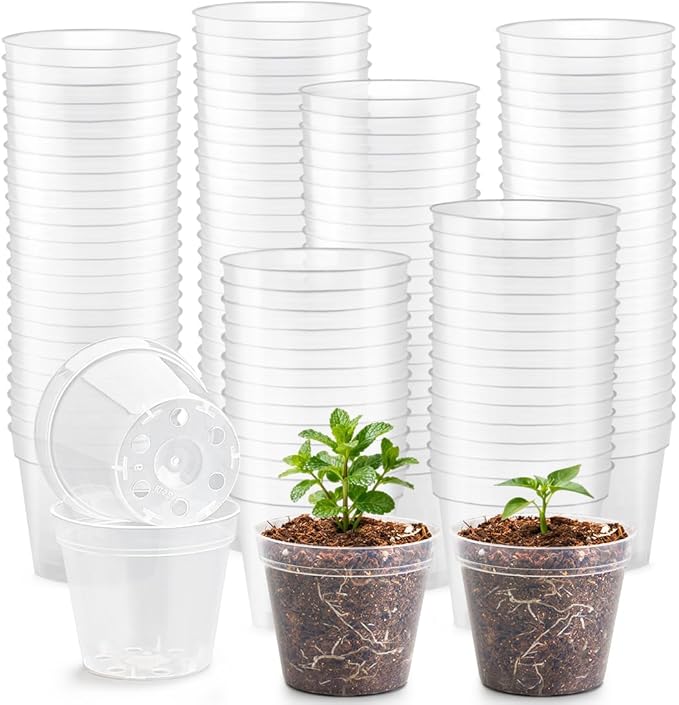 BTPLASTIK 200 Pack 2.5 Inch Clear Nursery Pots by BTPLASTIK
