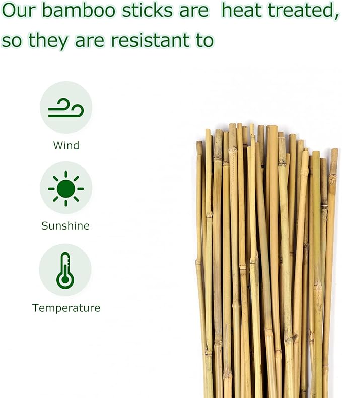 40pcs Natural Bamboo Sticks for Indoor and Outdoor Plants, 16 Inch Plant - Image 3