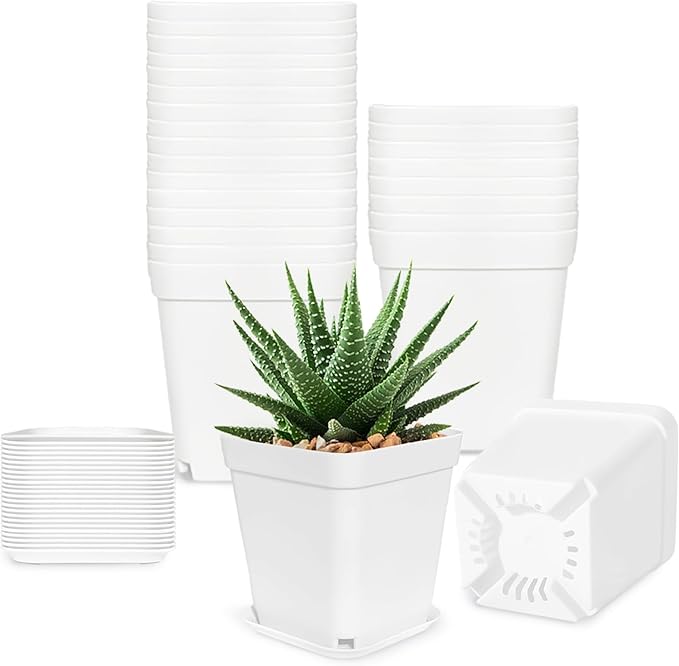 Anyumocz 24Pcs 3" Square Plastic Plant Pots, Seedling Nursery Transplanting by Anyumocz