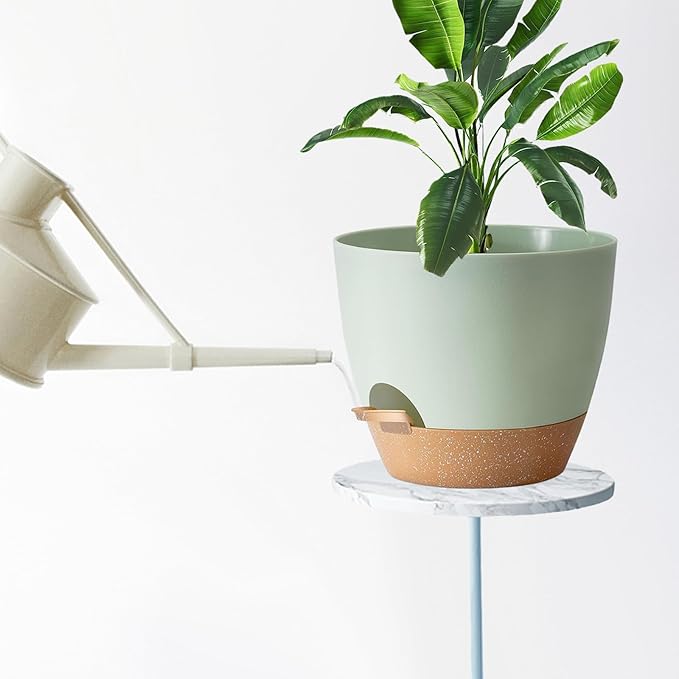 Indoor Pot For Plants 3 Pack 12/10/9 Inch Self Watering Pot For Lazy People - Image 6