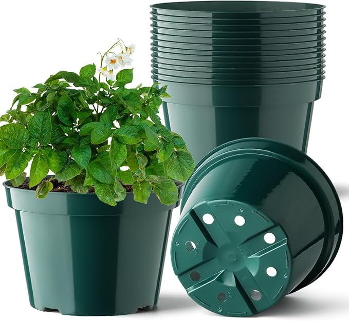BTPLASTIK 8 Inch Plastic Plant Pots, 15 Pack Sturdy Nursery Pots by BTPLASTIK