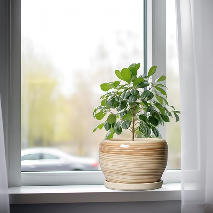SQOWL Ceramic Planter- 8 Inch Plant Pot Indoor Outdoor, Round Planter - Image 4