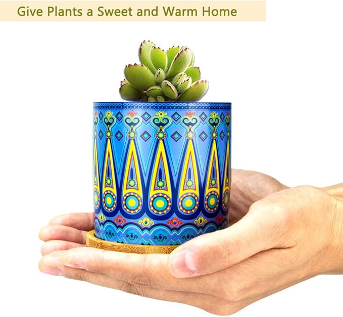 Mandala Succulent Pot with Drainage Hole & Bamboo Coaster, Small Plant Pots - Image 3