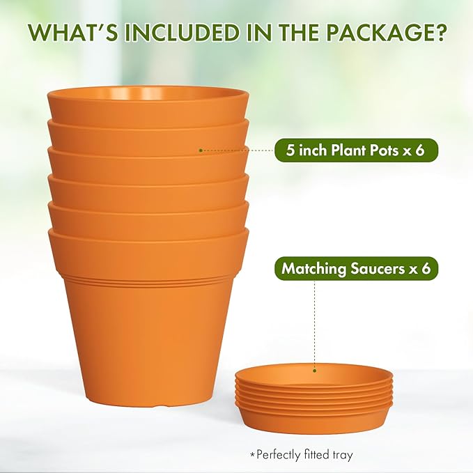 5 Inch Plastic Plant Pots with Drainage Holes and Trays – 6 Pack Small Nursery - Image 5