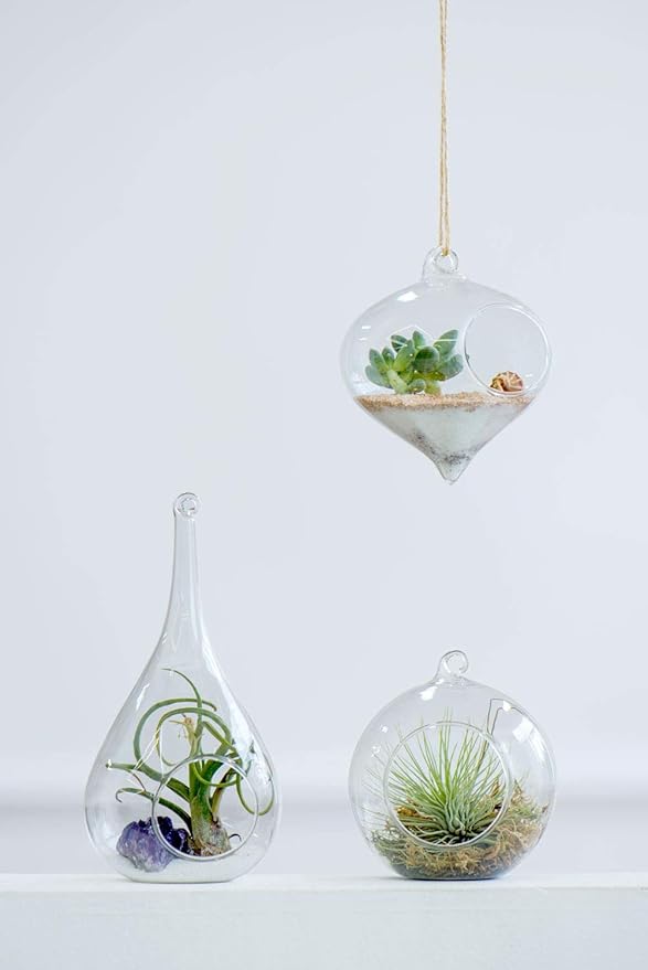 Mkono 3 Pack Glass Hanging Planter Air Fern Holder Terrarium Plants Hanger Vase - Image 2