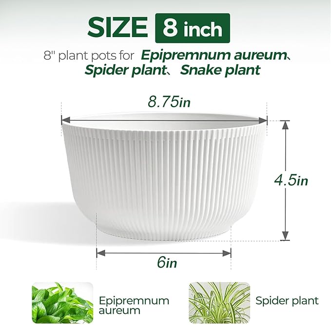 T4U 8 Inch Self Watering Pots for Indoor Plants, 2 Pack Plant Pots, Durable - Image 2