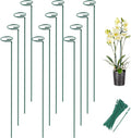 Joyhalo 12 Pack Plant Support Stakes 24 Inch, Plant Stakes, Flower Stakes by Joyhalo