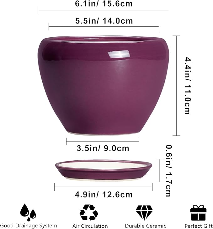 Ceramic Pots for Plants 6 Inch - Image 3