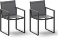 Outdoor Dining Chairs Set of 2, Aluminum Patio Dining Chiars by Oasbira