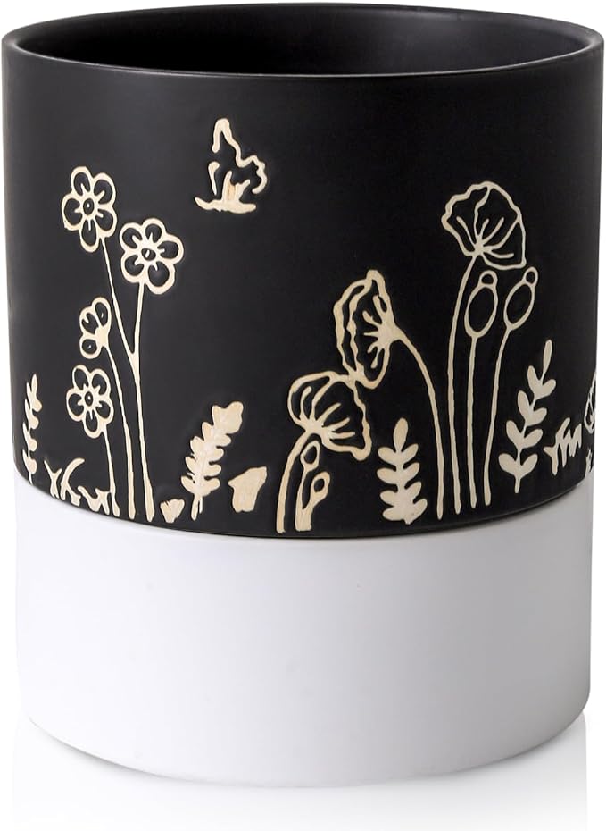 Nihow Self Watering Plant Pot: 6 Inch Ceramic Planter by Nihow