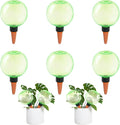 6pcs Large Plant Self Watering Globes, 17.5 oz Plastic Water Bulbs Top Fill by GEWOSI