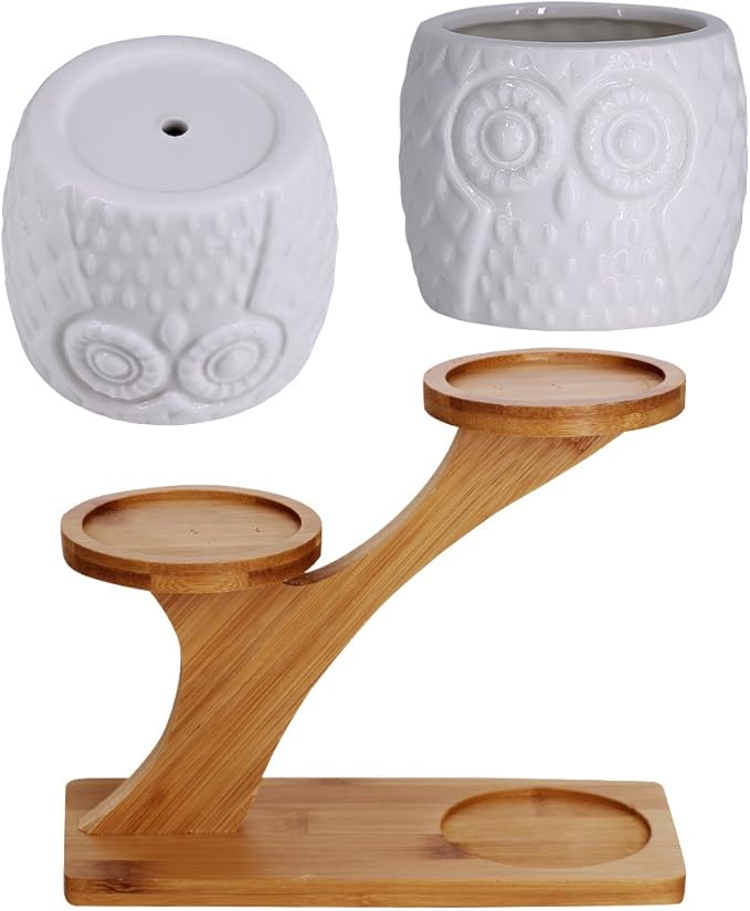 3pcs Owl Succulent Pots with 3 Tier Bamboo Saucers Stand Holder - Image 3
