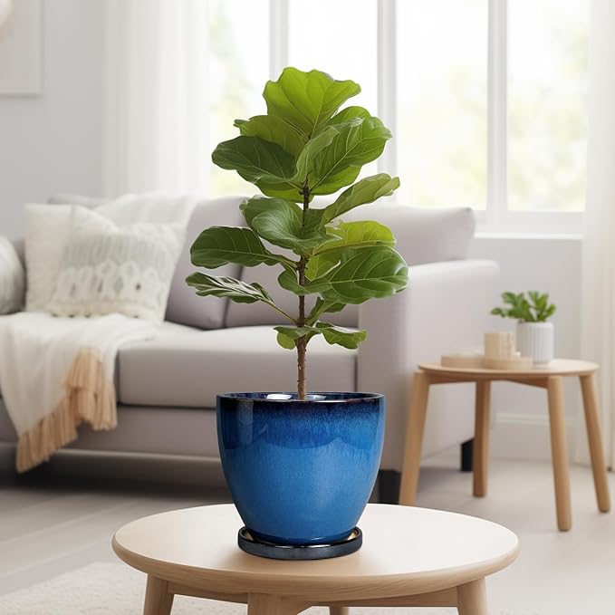 8 Inch Planter - Ceramic Plant Pot - Image 4
