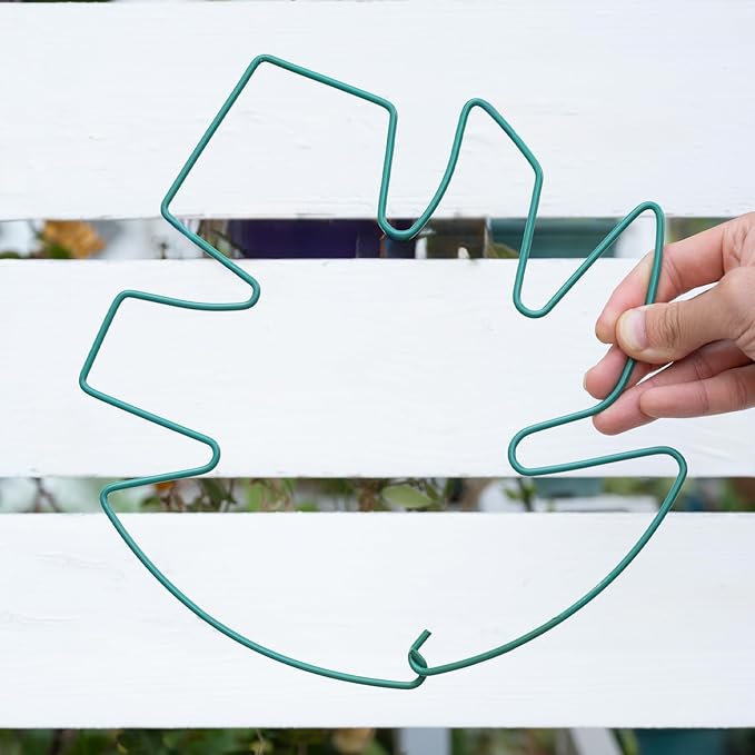5PCS Monstera Plant Support Stem 9 x 7.6 in- Durable Stabilizer Set - Image 6